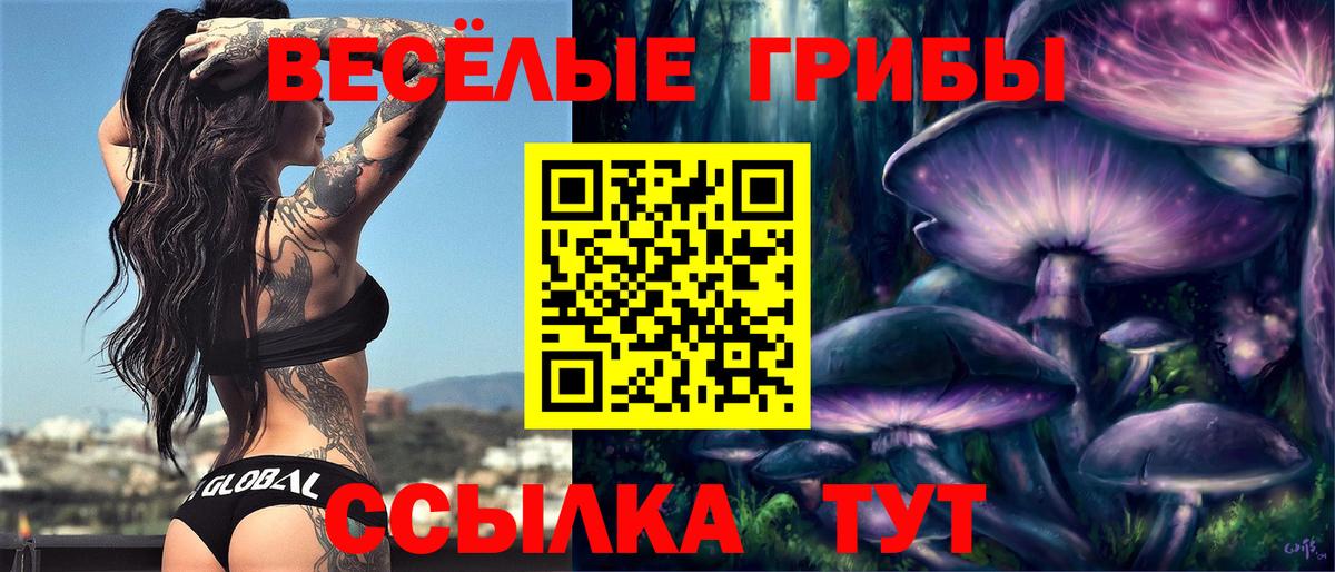 Псилоцибиновые грибы GOLDEN TEACHER Кирово-Чепецк