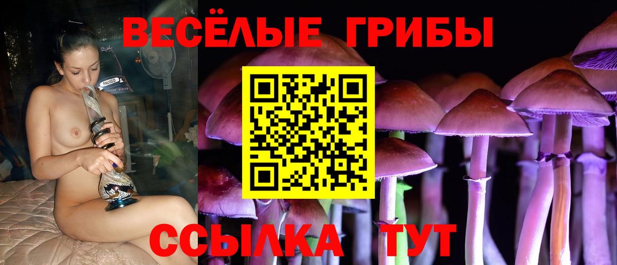 Галлюциногенные грибы MAGIC MUSHROOMS  Вход с VPN  Кирово-Чепецк 